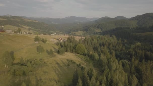 Aerial Top View Summer Carpathian Mountains Dzembronya Village Ukraine — Stock Video