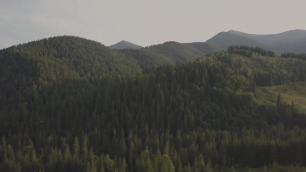 Lotu Ptaka Widok Góry Lato Karpaty Pobliżu Przez Wieś Dzembronya — Wideo stockowe