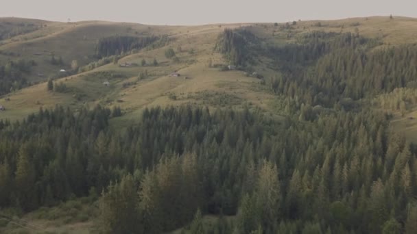 Vista Aérea Superior Das Montanhas Carpathian Verão Perto Pela Vila — Vídeo de Stock