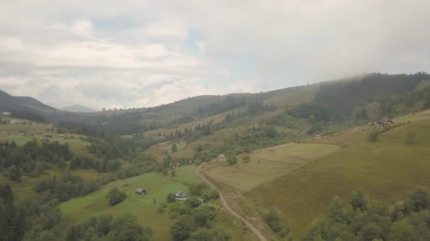 Vista Aérea Las Montañas Los Cárpatos Verano Cerca Aldea Dzembronya — Vídeos de Stock