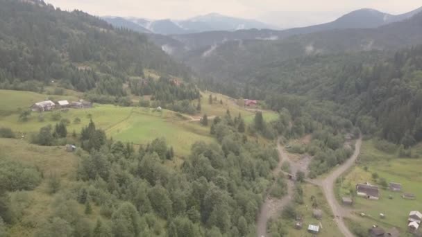 Aerial Top View Summer Carpathian Mountains Dzembronya Village Sunny Day — Stock Video