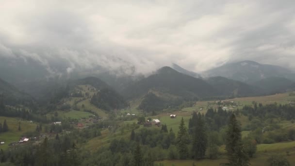 Voler Autres Montagnes Carpates Été Près Village Dzembronya Ukraine — Video