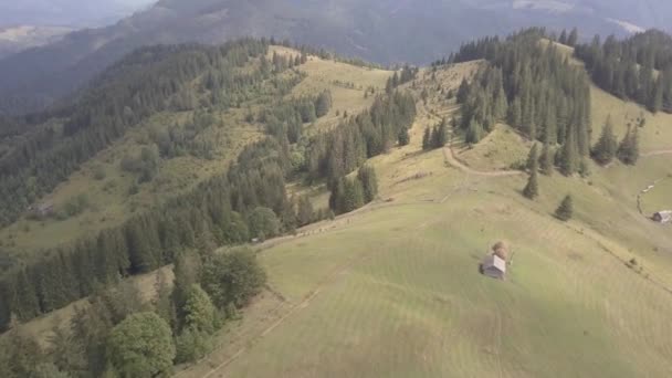 Volar Otras Montañas Carpatos Verano Cerca Aldea Dzembronya Ucrania — Vídeo de stock