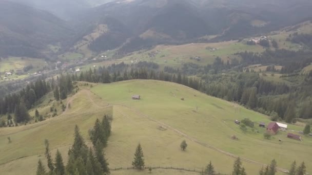Andere Zomer Karpatische Bergen Buurt Van Vliegen Door Dzembronya Dorp — Stockvideo