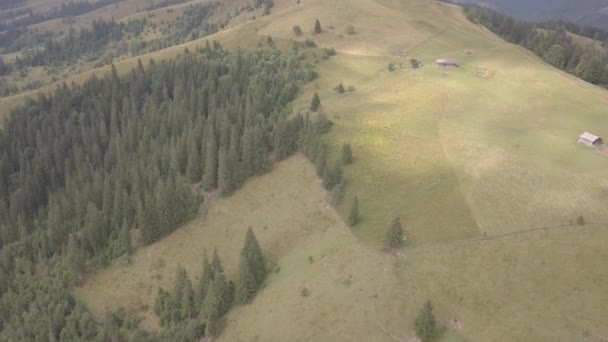 Vista Aérea Superior Das Montanhas Carpathian Verão Perto Pela Vila — Vídeo de Stock