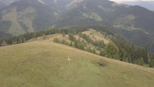 Flying Drone Summer Carpathian Forest Mountains — Stock Video