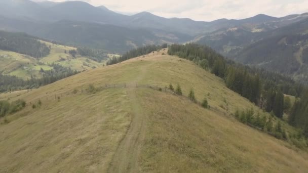 Volar Otras Montañas Carpatos Verano Cerca Aldea Dzembronya Ucrania — Vídeo de stock