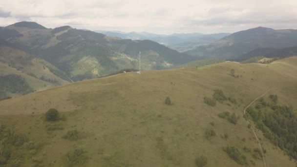 Yaz Karpat Dağları Yakınlarında Dzembronya Köyü Ukrayna Uçan — Stok video