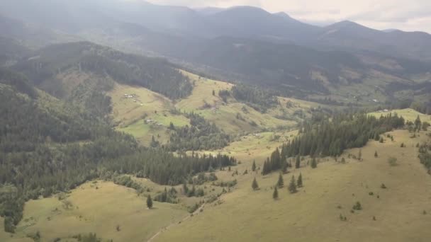 Voando Outras Montanhas Carpathian Verão Perto Pela Vila Dzembronya Ucrânia — Vídeo de Stock