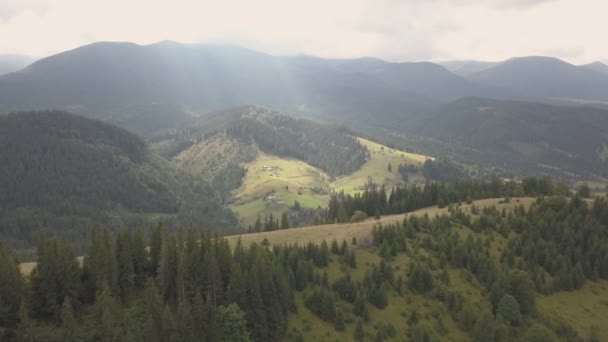 飞往乌克兰 Dzembronya 村附近的其他夏季喀尔巴阡山山脉 — 图库视频影像