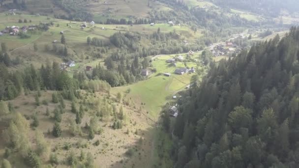 Volar Otras Montañas Los Cárpatos Verano Cerca Aldea Dzembronya Día — Vídeos de Stock