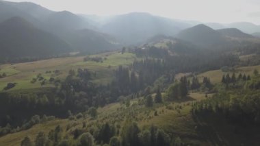 Dzembronya Köyü, Ukrayna tarafından yaz Karpat Dağları'nın hava Üstten Görünüm