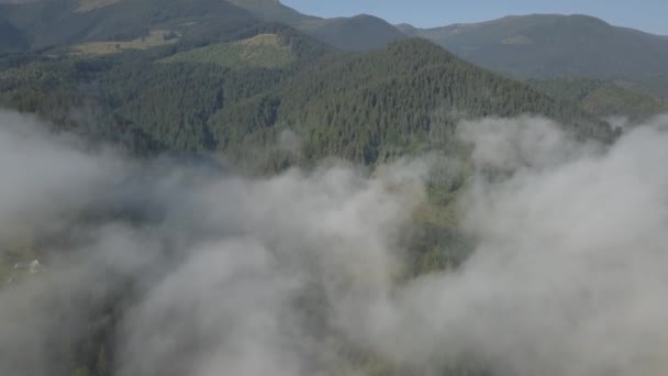 Volare Nebbia Nuvole Nelle Montagne Dei Carpazi Vicino Villaggio Dzembronya — Video Stock