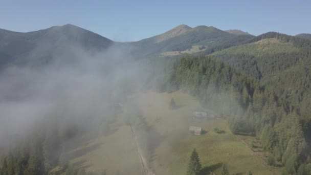 Sis Karpatlar Bulutlarda Üzerinde Uçan Dağları Yakınında Dzembronya Köyü Ukrayna — Stok video