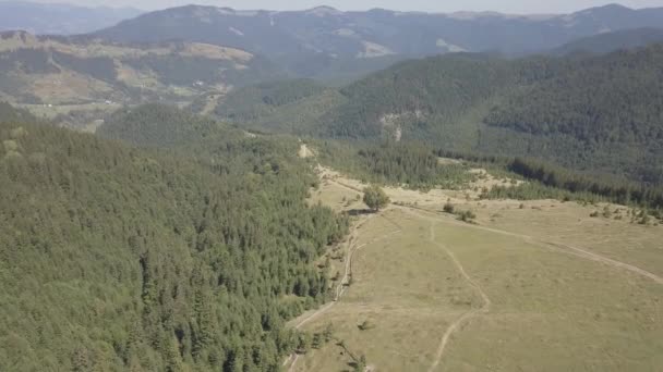 Dzembronya 村附近的夏喀尔巴阡山鸟瞰图 — 图库视频影像
