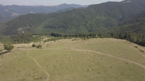 Vista Aérea Las Montañas Los Cárpatos Verano Cerca Aldea Dzembronya — Vídeos de Stock