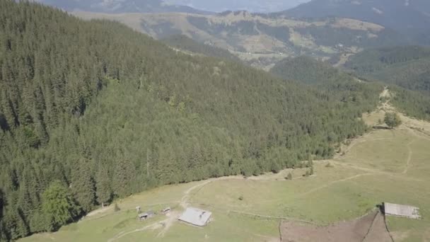 Lotu Ptaka Widok Góry Lato Karpaty Pobliżu Przez Wieś Dzembronya — Wideo stockowe
