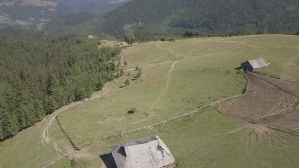 Légi Felülnézete Nyári Kárpát Hegység Közelében Dzembronya Village Ukrajna — Stock videók