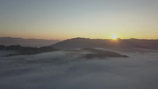 Flying Fog Clouds Carpathians Mountains Dzembronya Village Ukraine — Stock Video