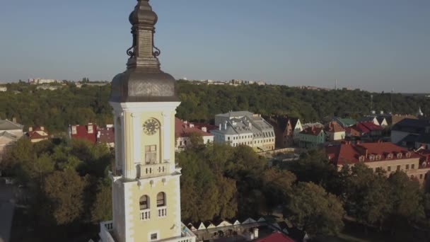 Luchtfoto Van Historische Stad Van Kamianets Mohelerpodolsc Oekraïne — Stockvideo