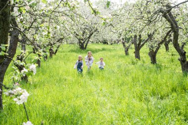 Nakış bahçede çocuklarda