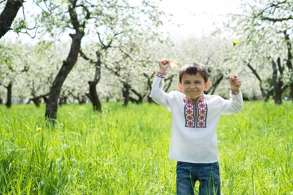 O menino está bordado no jardim — Fotografia de Stock