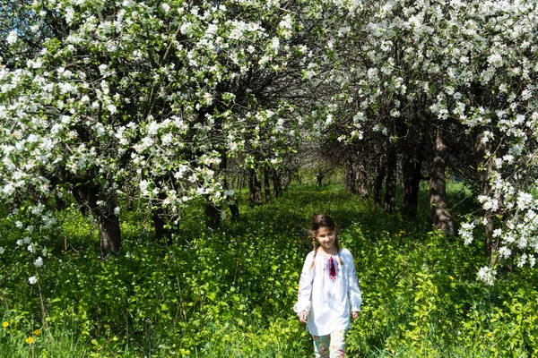 Aranyos lány öltözött hímzés a kertben — Stock Fotó