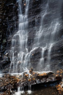 Şelale Huk Karpat Dağları'nda
