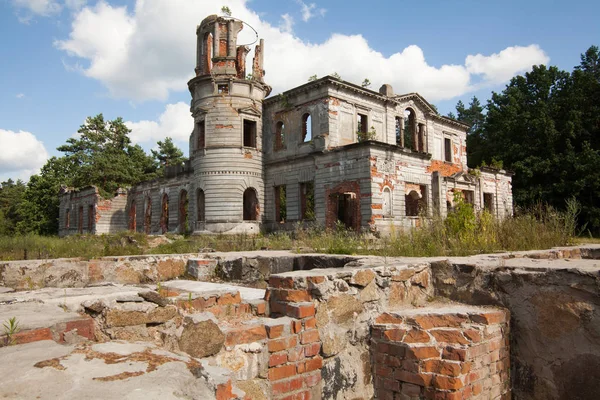 A romok egy ősi kastély Vlagyimirovics Tyerescsenko Grod, Zhitomir, Ukrajna. 19. századi palota — Stock Fotó