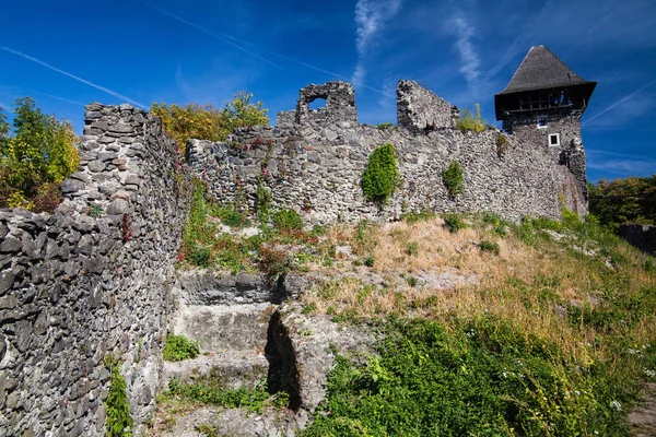 Руины замка Невицкое в Закарпатской области. Jam ФИО, фото. Невицкий замок построен в 13 веке. Украина . — стоковое фото
