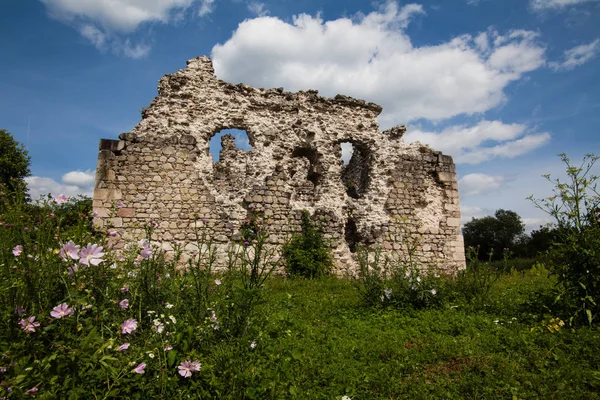 Ruinas del castillo de los Caballeros Orden Templario (siglo XIV) Serednie pueblo, región de Transcarpathian — Foto de Stock