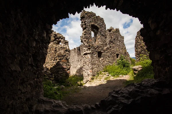 Ruins of Castle Nevytske in Transcarpathian region. Uzhgorod photo. Nevitsky Castle built in 13th century. Ukraine. — Stock Photo, Image