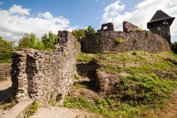 Ruínas do Castelo Nevytske na região de Transcarpathian. Fotografia de Uzhgorod. Castelo de Nevitsky construído no século XIII. Ucrânia . — Fotografia de Stock