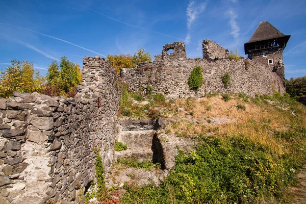 De ruïnes van kasteel Nevytske in de Transcarpathian regio. Oezjhorod foto. Nevitsky kasteel gebouwd in de 13e eeuw. Oekraïne. — Stockfoto