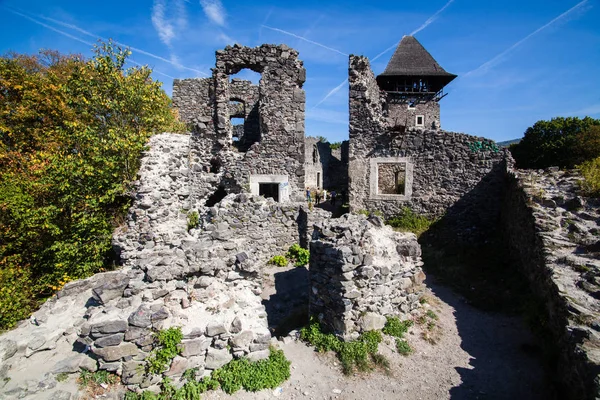 Ruinas del Castillo Nevytske en la región de Transcarpathian. Foto de Uzhgorod. Castillo Nevitsky construido en el siglo XIII. Ucrania . — Foto de Stock