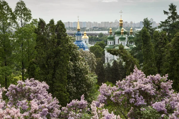 Jarní pohled řeky Vydubychi kláštera a Dněpr s fialovými květy v botanické zahradě v Kyjevě, Ukrajina — Stock fotografie