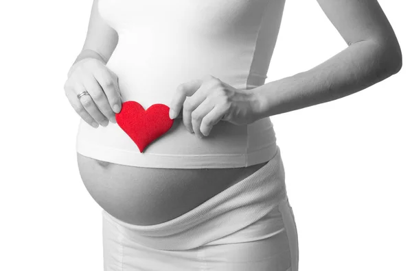 Black and white photo with red symbol - pregnant woman put a toy heart to his stomach — Stock Photo, Image