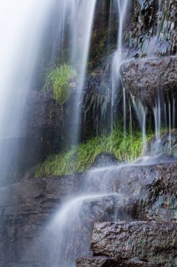 Şelale Chervonograd Ternopil bölgesi, Ukrayna