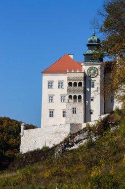 Ortaçağ şatosu Pieskowa Skala güzel bir sonbaharda Polonya 'nın Krakow kenti yakınlarında