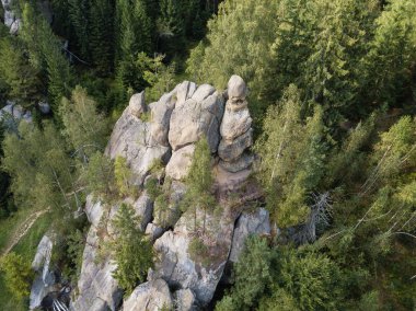 Taş Ternoshorska Lada 'yı güzel Karpatya ormanlarının ortasında sallıyor. Annelik ve doğurganlık sembolü, Kosiv bölgesi, İvano-Frankivsk Oblastı, Ukrayna