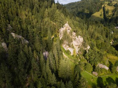 Taş Ternoshorska Lada 'yı güzel Karpatya ormanlarının ortasında sallıyor. Annelik ve doğurganlık sembolü, Kosiv bölgesi, İvano-Frankivsk Oblastı, Ukrayna
