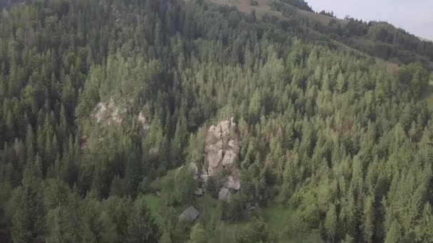 Kamienne skały Tarnoskorska Łada pośród pięknych malowniczych karpackich lasów, Ukraina — Wideo stockowe