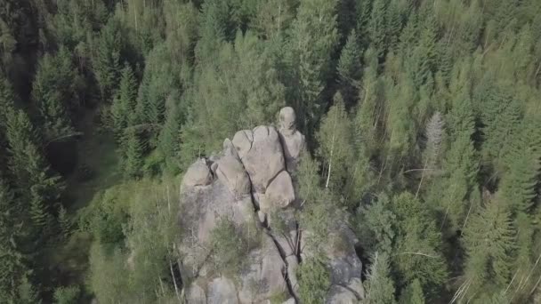 Λίθινα βράχια Ternoshorska Lada μέσα σε όμορφα γραφικά Καρπάθια δάση, Ουκρανία — Αρχείο Βίντεο