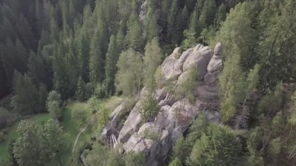 Kamenné skály Ternoshorska Lada uprostřed krásných malebných karpatských lesů, Ukrajina — Stock video