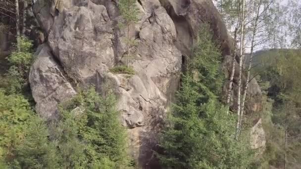 乌克兰喀尔巴阡山脉美丽的风景秀丽的森林中的石岩 — 图库视频影像