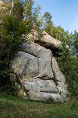 Taş Ternoshorska Lada 'yı güzel Karpat Ormanı' nın ortasında sallıyor.