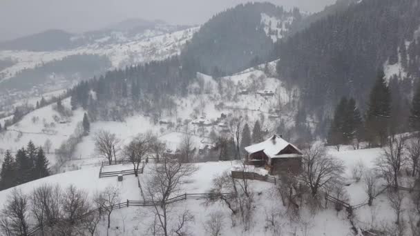 Ruhiges Und Gemütliches Märchendorf Ryvorivnia Das Den Karpaten Mit Schnee — Stockvideo