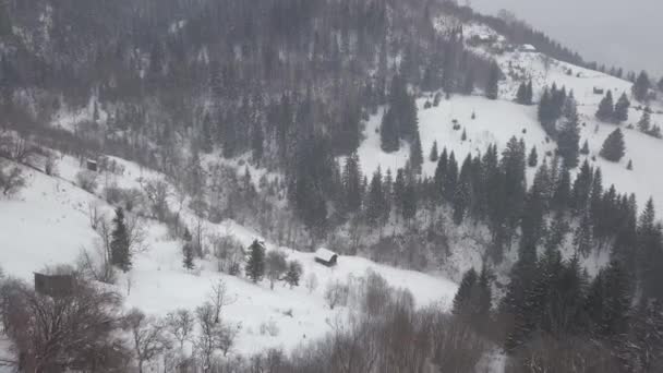 静かで居心地の良いおとぎ話の村Klivorivniaは カルパチア山脈の雪で覆われています ウクライナのHutsulshchyna国立公園で典型的な風景です 休暇と冬のスポーツ — ストック動画