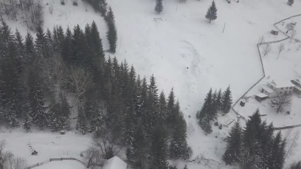 Spokojna Przytulna Baśniowa Wioska Kryworyvnia Pokryta Śniegiem Karpatach Widok Powietrza — Wideo stockowe