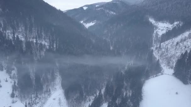Calma Acogedor Pueblo Cuento Hadas Kryvorivnia Cubierto Nieve Las Montañas — Vídeos de Stock